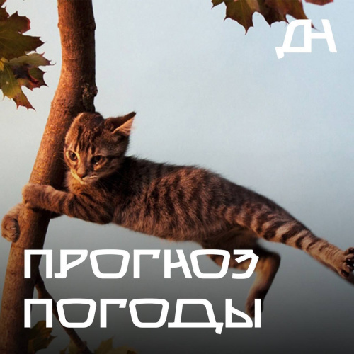 Рекомендации населению при усилении ветра