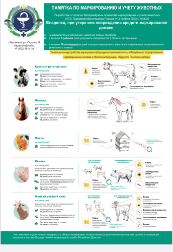 Внимание! Важная информация!