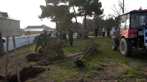 В Дербенте на Воинском кладбище продолжаются работы по озеленению и благоустройству